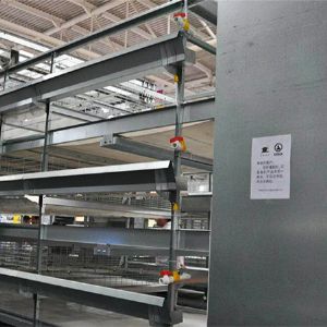 肉雞清糞機